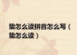 蟄怎么讀拼音怎么寫(xiě)（蟄怎么讀）