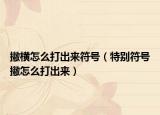 撇橫怎么打出來(lái)符號(hào)（特別符號(hào)撇怎么打出來(lái)）