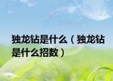 獨(dú)龍鉆是什么（獨(dú)龍鉆是什么招數(shù)）