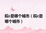 皖c是哪個城市（皖c是哪個城市）