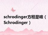 schrodinger方程是啥（Schrodinger）
