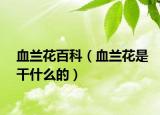 血蘭花百科（血蘭花是干什么的）
