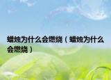 蠟燭為什么會燃燒（蠟燭為什么會燃燒）