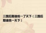 三國后期誰統(tǒng)一了天下（三國后期誰統(tǒng)一天下）