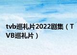 tvb巡禮片2022劇集（TVB巡禮片）