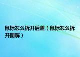 鼠標怎么拆開后蓋（鼠標怎么拆開圖解）