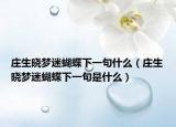 莊生曉夢迷蝴蝶下一句什么（莊生曉夢迷蝴蝶下一句是什么）