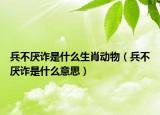 兵不厭詐是什么生肖動(dòng)物（兵不厭詐是什么意思）