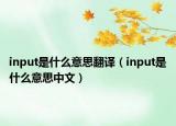 input是什么意思翻譯（input是什么意思中文）