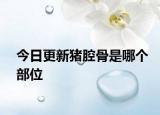 今日更新豬腔骨是哪個(gè)部位
