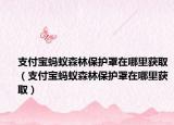 支付寶螞蟻森林保護(hù)罩在哪里獲取（支付寶螞蟻森林保護(hù)罩在哪里獲?。? /></span></a>
                        <h2><a href=