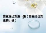 男主強占女主一生（男主強占女主的小說）