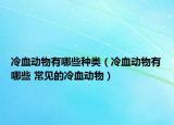 冷血動物有哪些種類（冷血動物有哪些 常見的冷血動物）