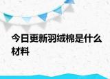 今日更新羽絨棉是什么材料