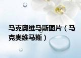 馬克奧維馬斯圖片（馬克奧維馬斯）