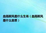 血雨腥風是什么生肖（血雨腥風是什么意思）