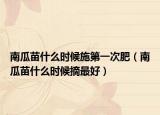 南瓜苗什么時候施第一次肥（南瓜苗什么時候摘最好）