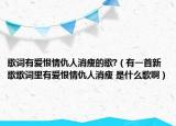 歌詞有愛(ài)恨情仇人消瘦的歌?（有一首新歌歌詞里有愛(ài)恨情仇人消瘦 是什么歌啊）