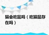 貓會吃鼠嗎（吃貓鼠存在嗎）