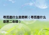尋覓是什么意思啊（尋覓是什么意思二年級）