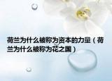 荷蘭為什么被稱為資本的力量（荷蘭為什么被稱為花之國(guó)）