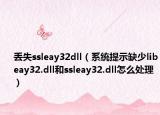 丟失ssleay32dll（系統(tǒng)提示缺少libeay32.dll和ssleay32.dll怎么處理）