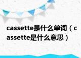 cassette是什么單詞（cassette是什么意思）