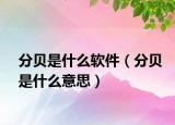 分貝是什么軟件（分貝是什么意思）