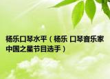 楊樂(lè)口琴水平（楊樂(lè) 口琴音樂(lè)家中國(guó)之星節(jié)目選手）