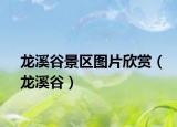 龍溪谷景區(qū)圖片欣賞（龍溪谷）