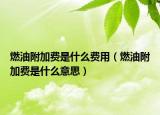 燃油附加費(fèi)是什么費(fèi)用（燃油附加費(fèi)是什么意思）