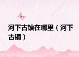 河下古鎮(zhèn)在哪里（河下古鎮(zhèn)）