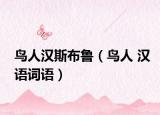 鳥人漢斯布魯（鳥人 漢語詞語）