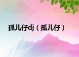 孤兒仔dj（孤兒仔）