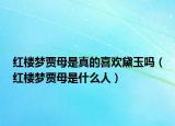 紅樓夢(mèng)賈母是真的喜歡黛玉嗎（紅樓夢(mèng)賈母是什么人）