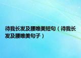 待我長(zhǎng)發(fā)及腰唯美短句（待我長(zhǎng)發(fā)及腰唯美句子）