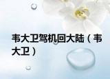 韋大衛(wèi)駕機回大陸（韋大衛(wèi)）