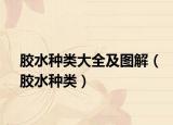 膠水種類大全及圖解（膠水種類）