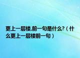 更上一層樓,前一句是什么?（什么更上一層樓前一句）