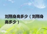 劉翔身高多少（劉翔身高多少）