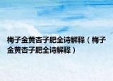 梅子金黃杏子肥全詩(shī)解釋（梅子金黃杏子肥全詩(shī)解釋）