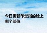 今日更新印堂指的臉上哪個部位
