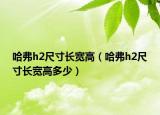 哈弗h2尺寸長(zhǎng)寬高（哈弗h2尺寸長(zhǎng)寬高多少）