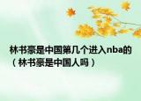 林書豪是中國(guó)第幾個(gè)進(jìn)入nba的（林書豪是中國(guó)人嗎）