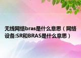 無(wú)線(xiàn)網(wǎng)絡(luò)bras是什么意思（網(wǎng)絡(luò)設(shè)備:SR和BRAS是什么意思）