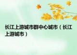 長江上游城市群中心城市（長江上游城市）