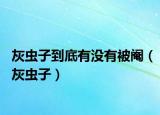 灰蟲子到底有沒有被閹（灰蟲子）