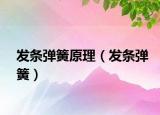 發(fā)條彈簧原理（發(fā)條彈簧）
