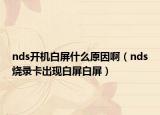 nds開機(jī)白屏什么原因?。╪ds燒錄卡出現(xiàn)白屏白屏）