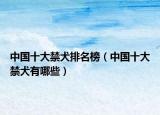 中國十大禁犬排名榜（中國十大禁犬有哪些）